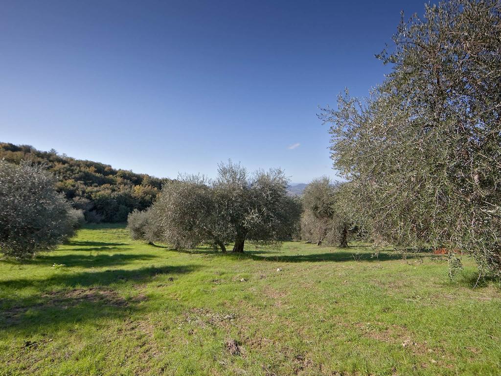 Tenuta La Silva Seggiano Eksteriør bilde