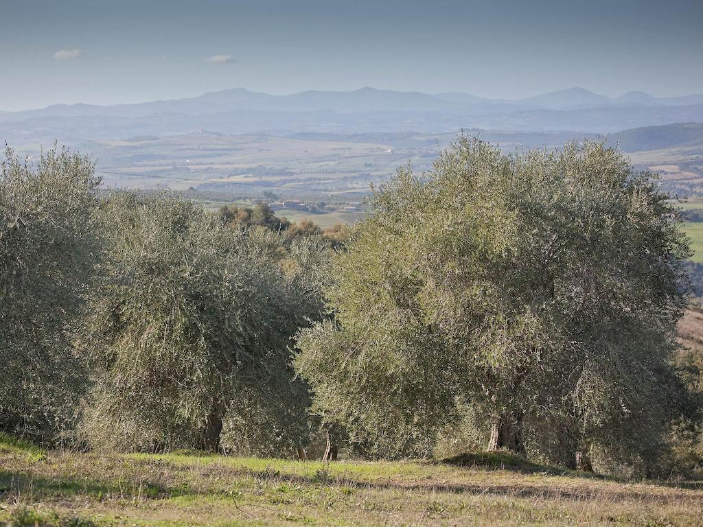Tenuta La Silva Seggiano Eksteriør bilde