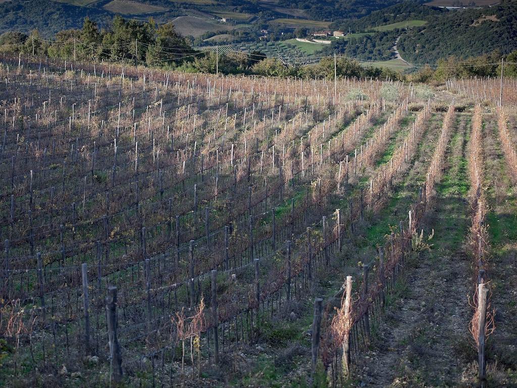 Tenuta La Silva Seggiano Eksteriør bilde